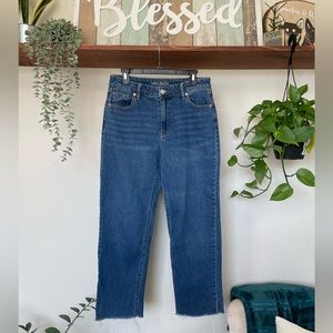 wild fable | High Rise Straight Leg Jeans